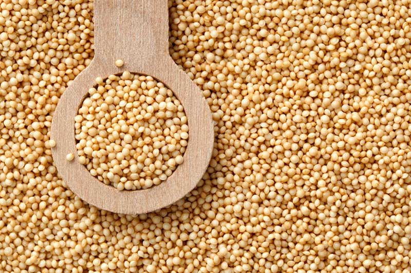 Amaranth (Rajgira)
