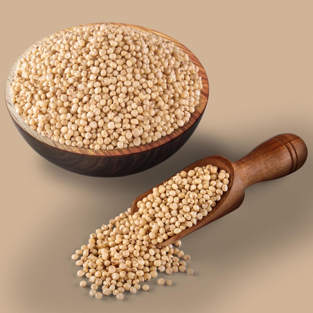 Sorghum (Jowar)