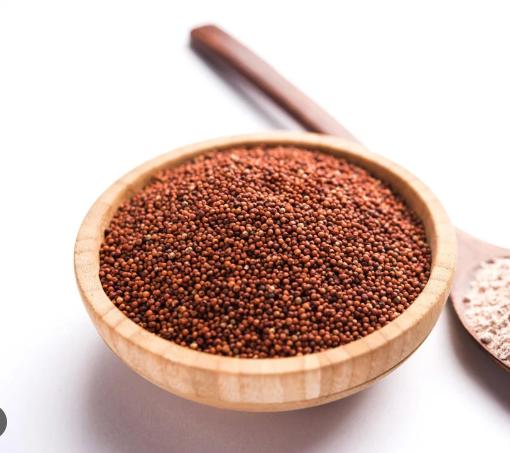 Finger Millet (Ragi)